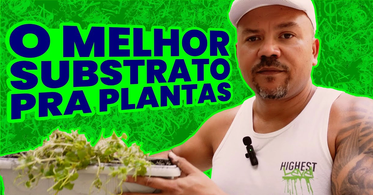 Capa do vídeo Como Fazer o Melhor Substrato para Plantas de Axé