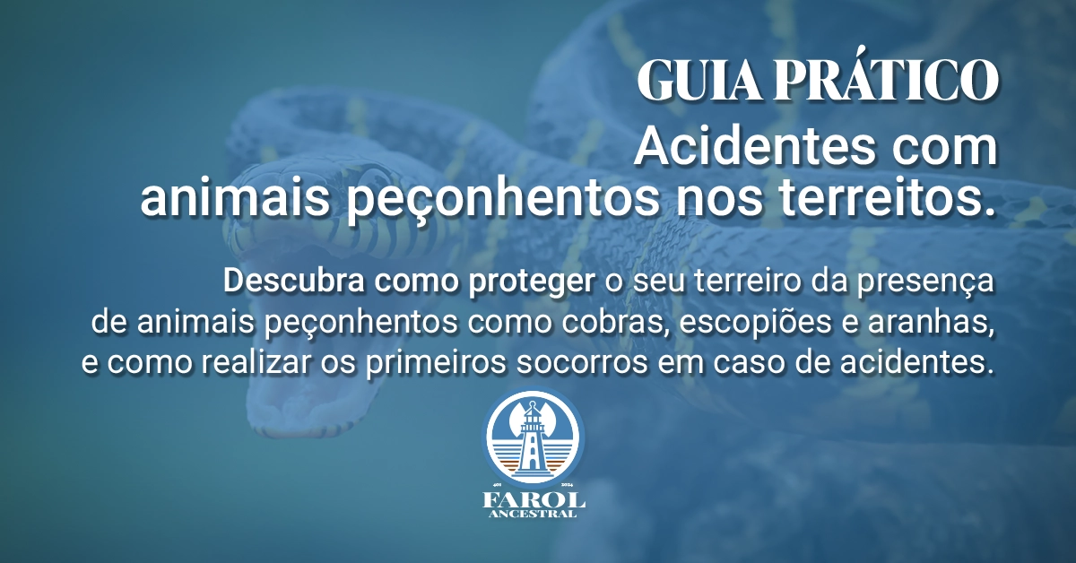 Capa apresentando o Guia Prático Acidentes com Animais Peçonhentos nos Terreiros